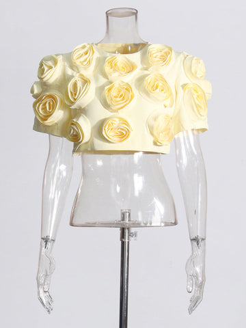 Niche Spliced Rose Flower Set Women's Clothing 2025 New Bubble Sleeve Top High Waist Half Skirt